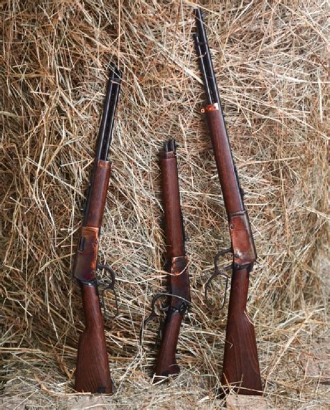 10 Heritage Lever Action Rifle Facts: A Mustsee Collection