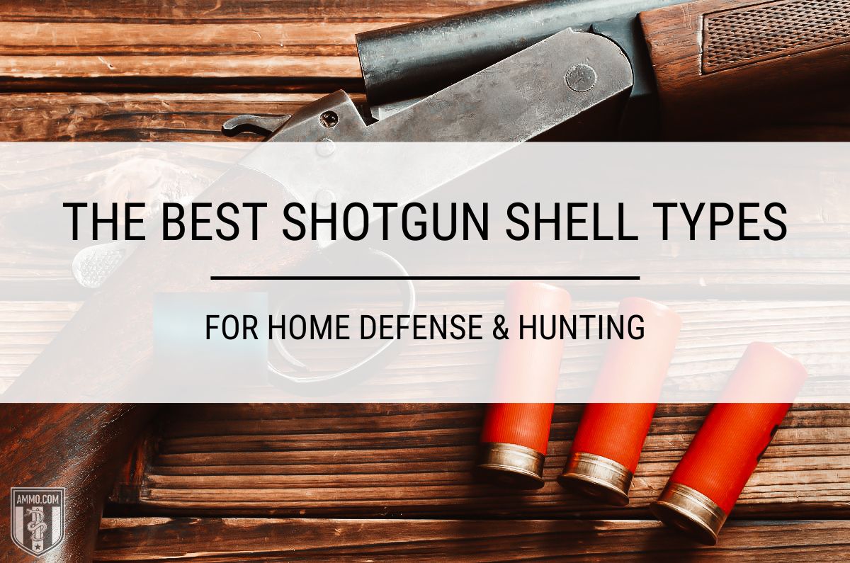 12 Gauge Shotgun Shell