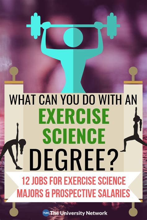 12 Jobs For Exercise Science Majors Artofit