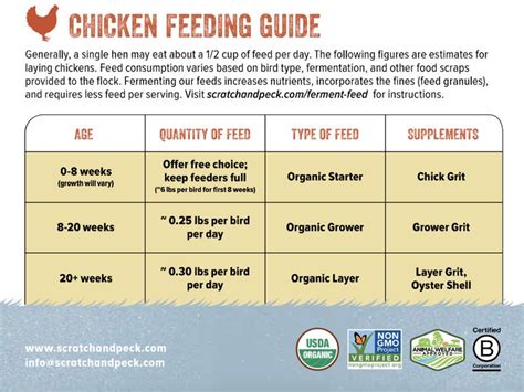 17 Scratch And Peck Feed Tips: Essential Guide To Healthy Poultry