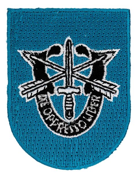 19Th Special Forces Group Flash W Insignia Special Forces 19Th