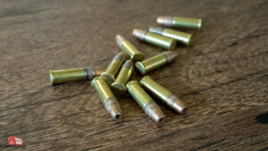 22Lr For Self Defense Why It S A Bad Idea The Broad Side