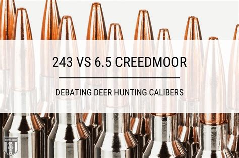 243 Vs 6 5 Creedmoor Deer Hunting Caliber Comparison