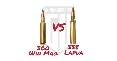 338 Lapua Vs 300 Win Mag