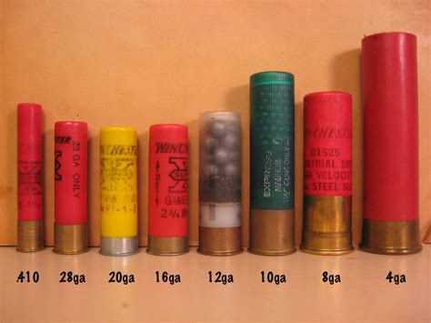 4 Gauge Shotgun Ammo