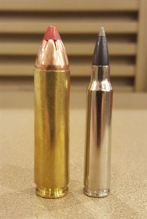 450 Bushmaster Vs 223