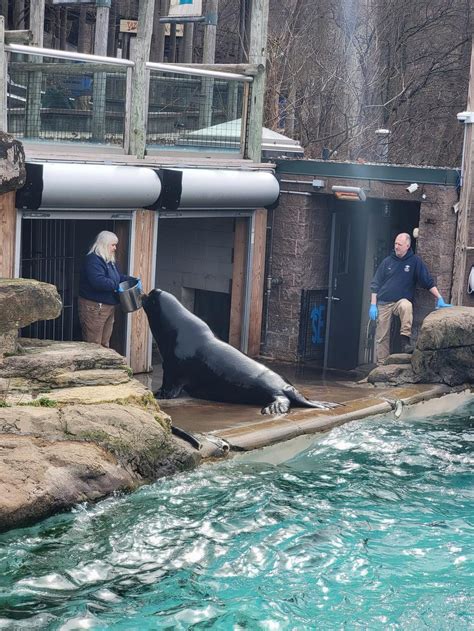 Aghs Gifted Students Takes On The Pittsburgh Zoo Aquarium The Ag