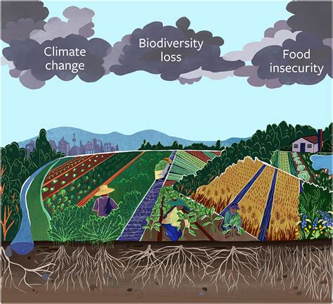 Agriculture Impacts Which Natural Resources