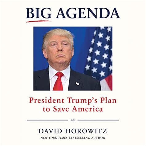 Amazon Com Big Agenda President Trump S Plan To Save America Audible