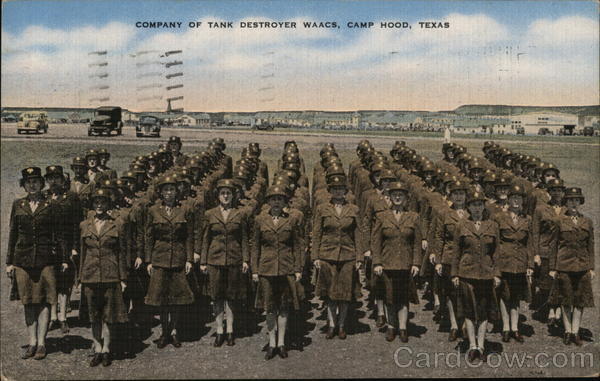 An Entire Company Of Waacs Assigned To Fort Devens Massachusetts