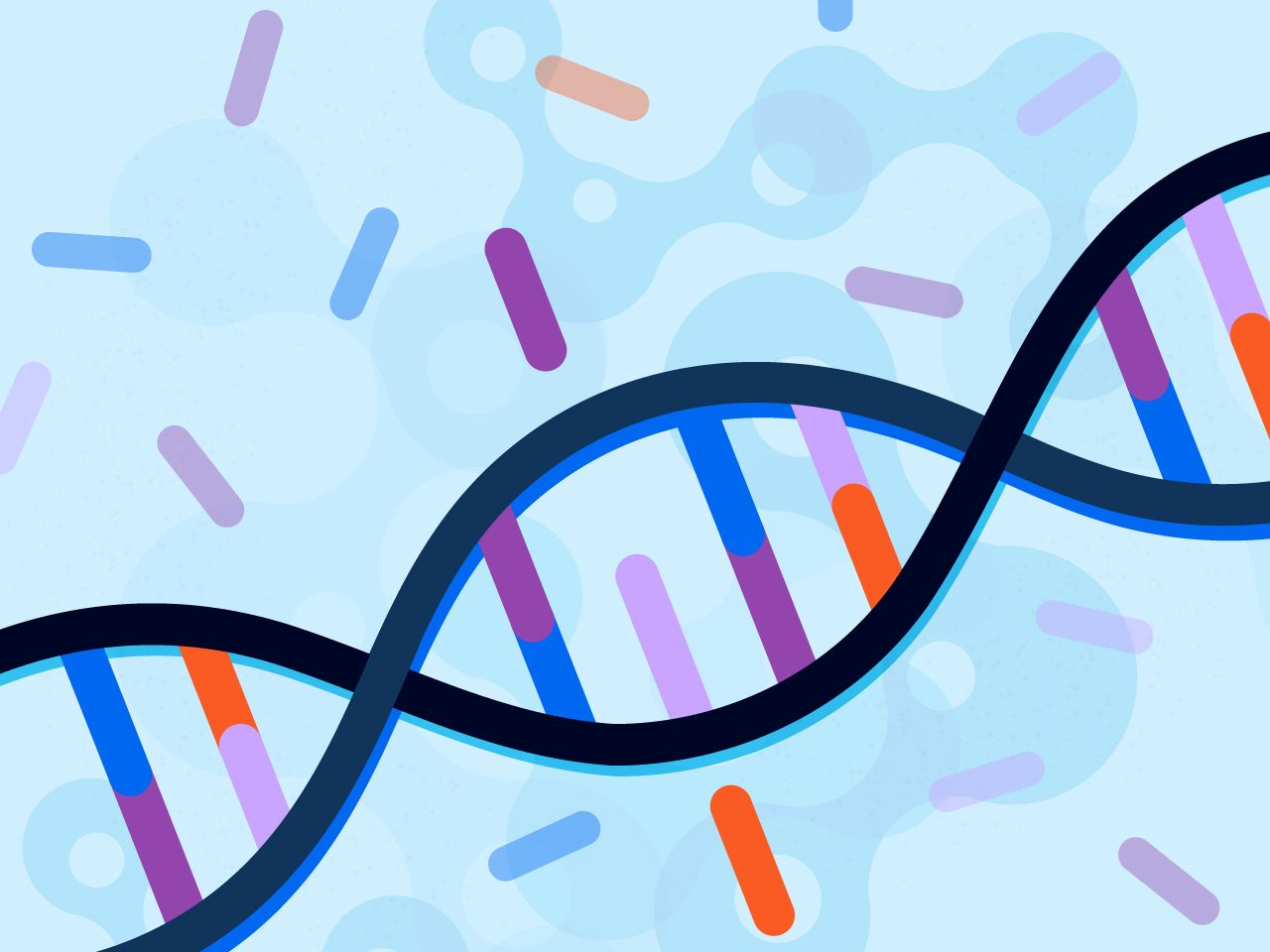 Apoe Mthfr Genetic Test Mthfr And Alzheimer S At Home Test