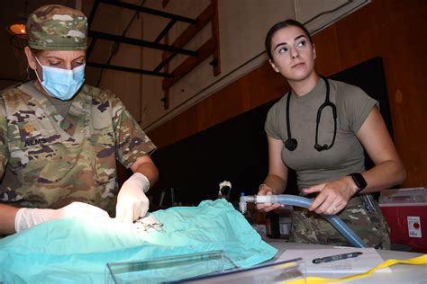 Army Reserve Health Corps