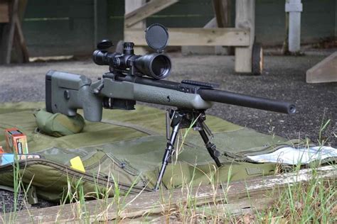 Best 308 Bolt Action 2024 Kandy Mariska