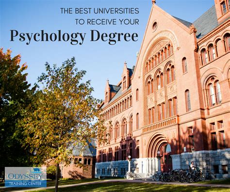 Best Colleges For Psychology