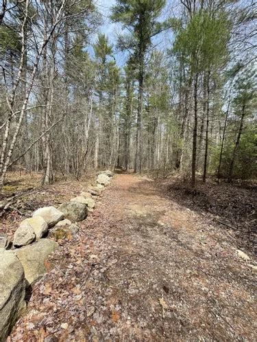 Best Trails Near Brookline New Hampshire Alltrails Com