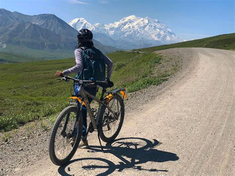 Bike Denali Bicycle Rentals To Explore Denali National Park Alaska