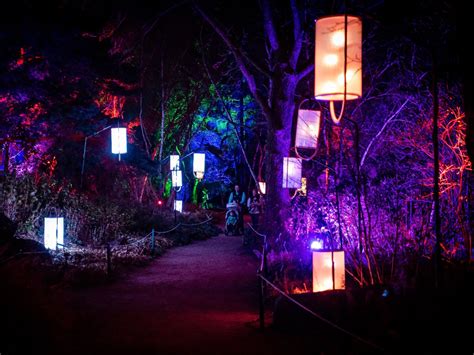 Botanical Garden S Lightscape Mesmerizes With New Exhibits And Discount