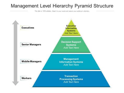 Business Administration System Hierarchy Hierarchy Structure