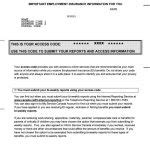 Canadian Armed Forces Pay Statement Invoice Template Ideas