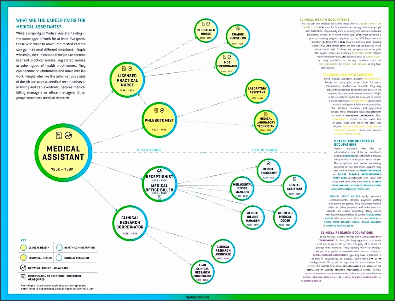 Career Path Flow Diagram Career Mapping Template