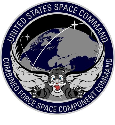 Combined Force Space Component Command Logo Combined Force Space Component Command Hoodie