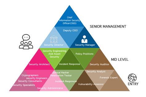 Cyber Security Career Path Cyber Security Future