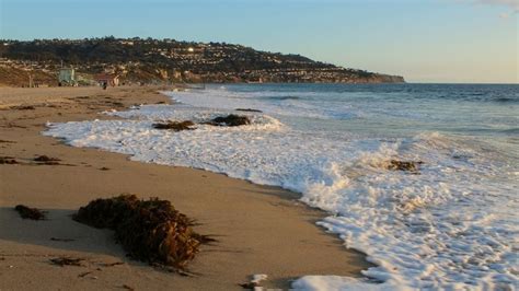 Design 7 Ultimate Tips For The Perfect Torrance Beach Experience Today