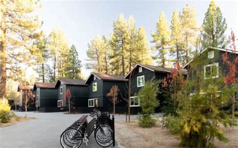 Design The Ultimate Big Bear Experience Now!