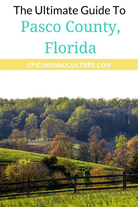 Design Ultimate Florida County Guide: 8 Tips Now