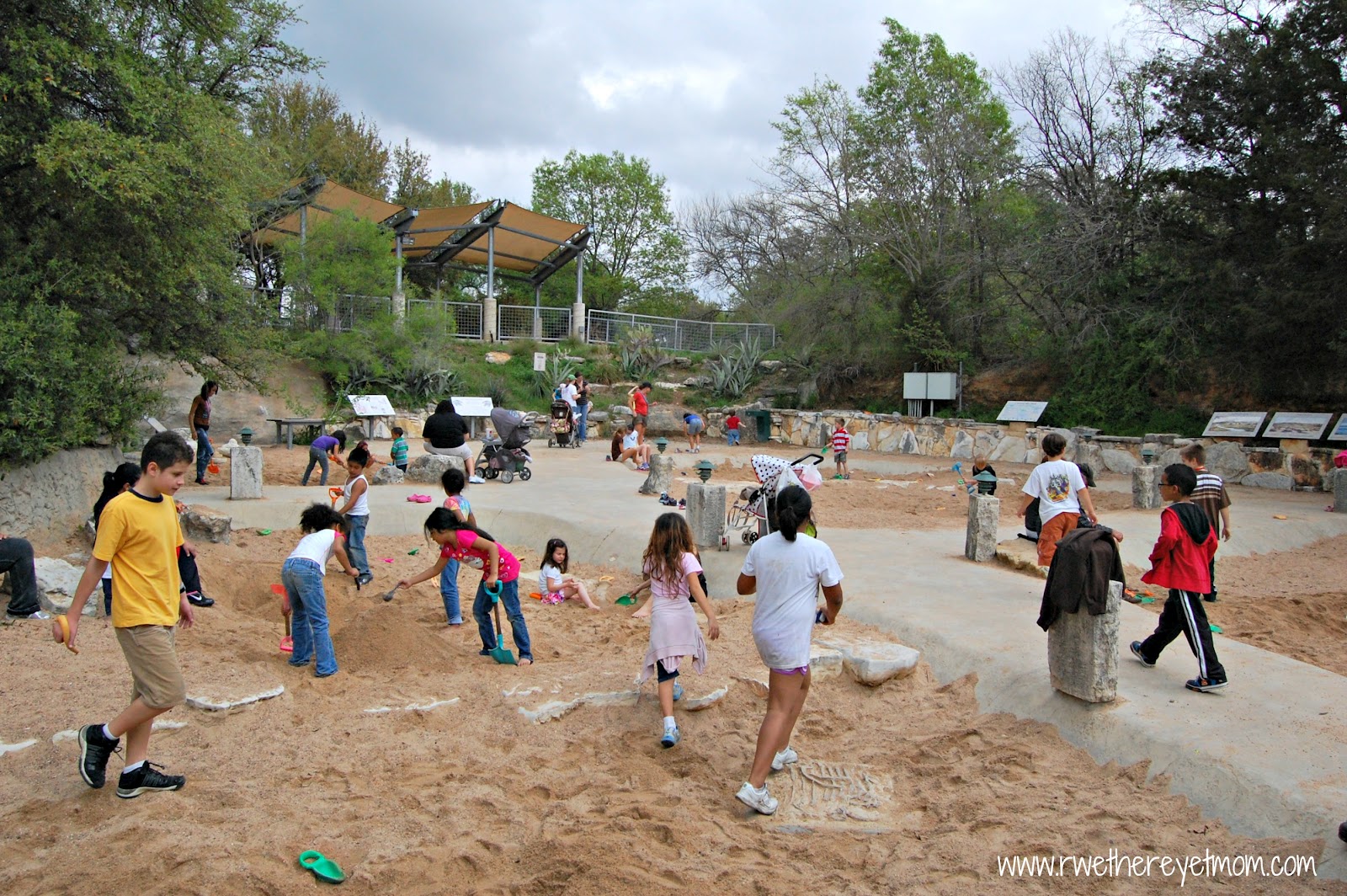 Dino Pit Austin Nature Science Center Austin Texas R We There