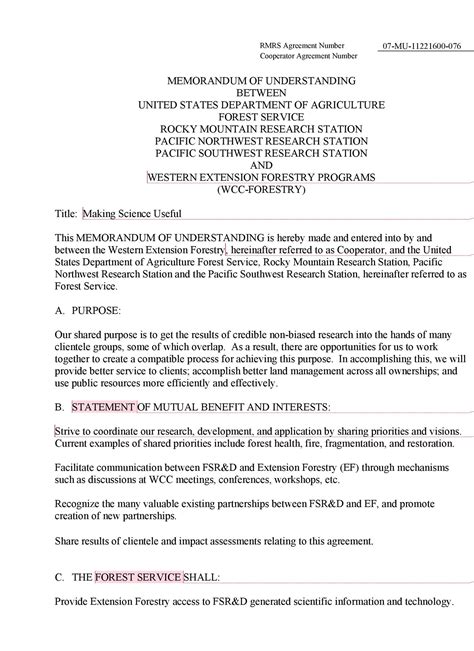 Document Of Understanding Format