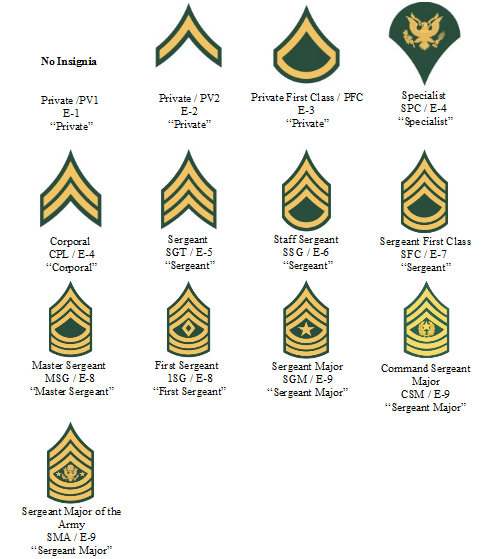 Enlisted Army Ranks Leadslomi