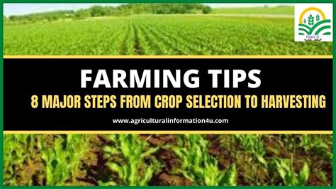 Farming Tips For Beginners Eight Major Steps From Crop Selection To