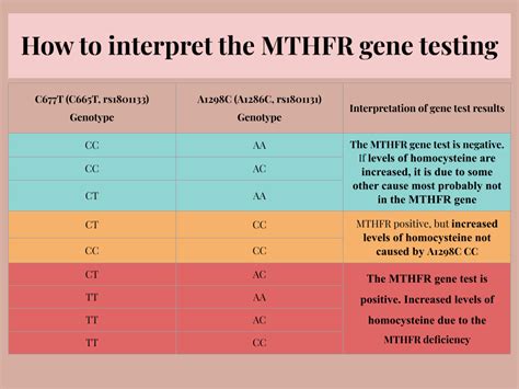 Gabriel S Garden Genetic Testing For Individual Mthfr Polymorphisms