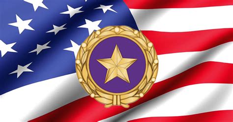 Gold Star Families Now Eligible For Sts Services Soldiers To Sidelines