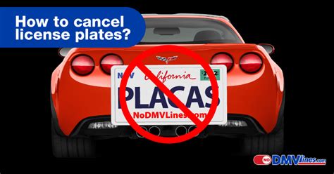 How To Cancel License Plates No Dmv Lines Dmv Services