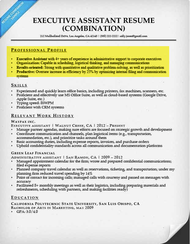 How To Write A Resume Profile Professional Examples