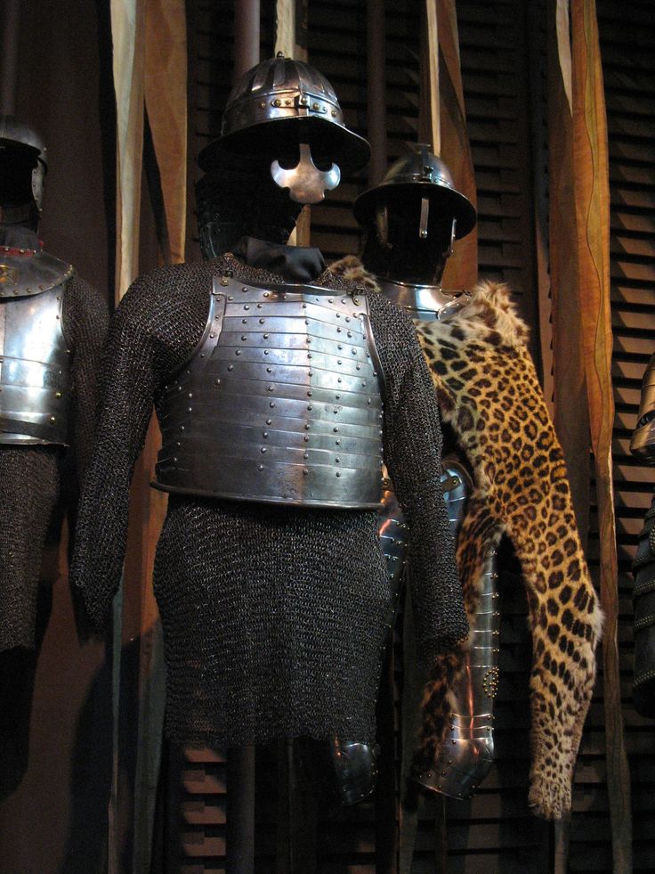 Hwinged Hussar Armour