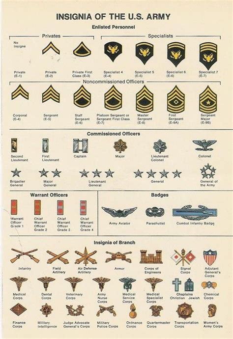 Insignia Of The Us Army Guide Coolguides Army Life Army Mom