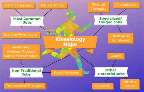 Jobs With Kinesiology Degree