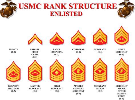 Large Usmc Enlisted Rank Chart 3 Color Vinyl Wall Decal Free Etsy