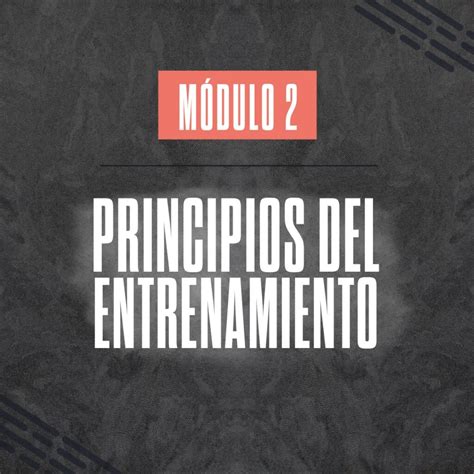 M Dulo 2 Principios Del Entrenamiento Profesor Mat As Rodriguez