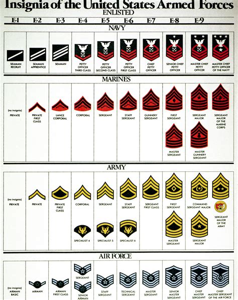 Military Rank Structure Printable