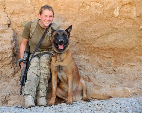 Military Working Dog And Handler