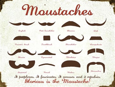 Mustache Chart Original Metal Sign Company