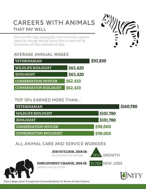 Navy Jobs With Animals