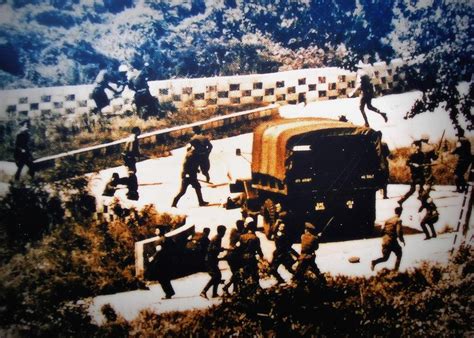 Operation Paul Bunyan Korea