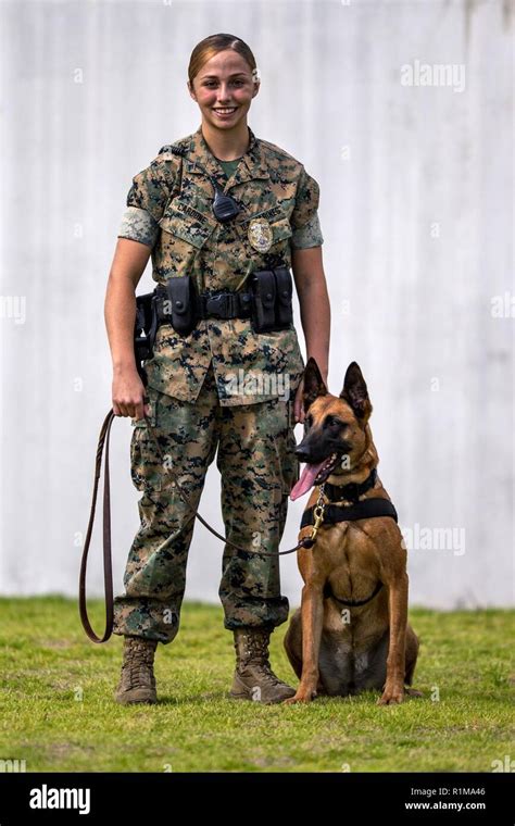 Pack Leader Marine Military Working Dog Handler Marine Corps