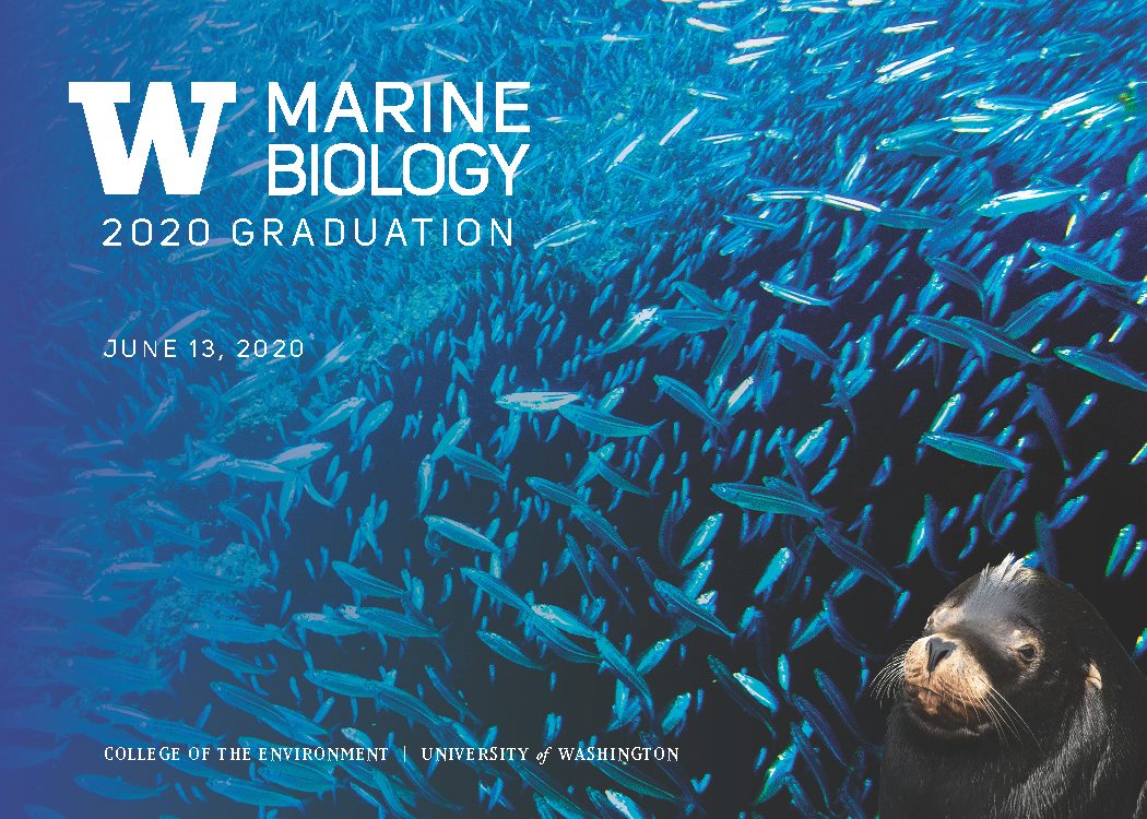 Perfect 7 Ways To Make Marine Biology College A Reality Today