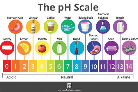 Ph Calculator Inch Calculator